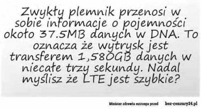 IMG_56098e90894198994.jpg